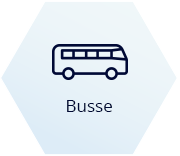 Buses