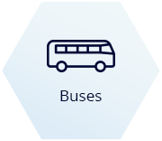 Buses